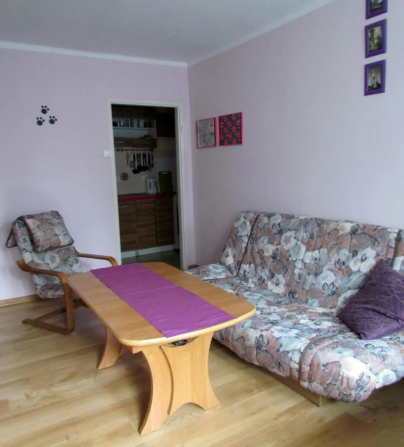 Black Cat Apartment Krakow 0*,  Poland